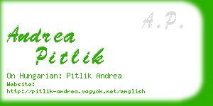 andrea pitlik business card